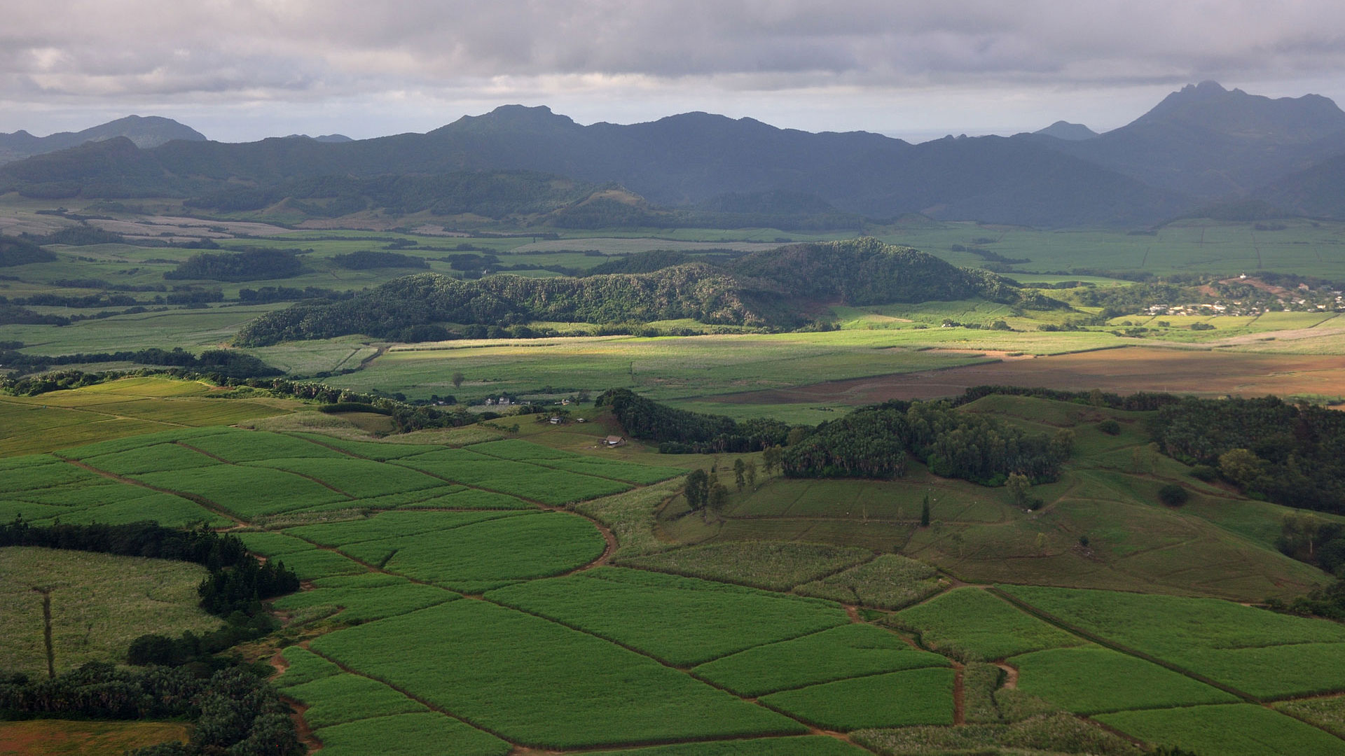 Investment Opportunity : Agricultural Land at Deux Bras Heaven