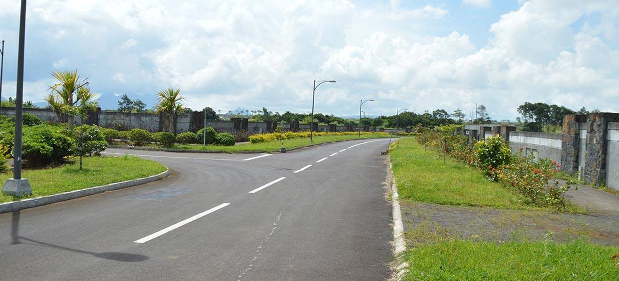 Aurea - Living Harmony