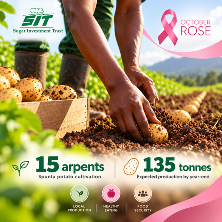 SIT Strengthens Local Food Production with Spunta Potato Cultivation